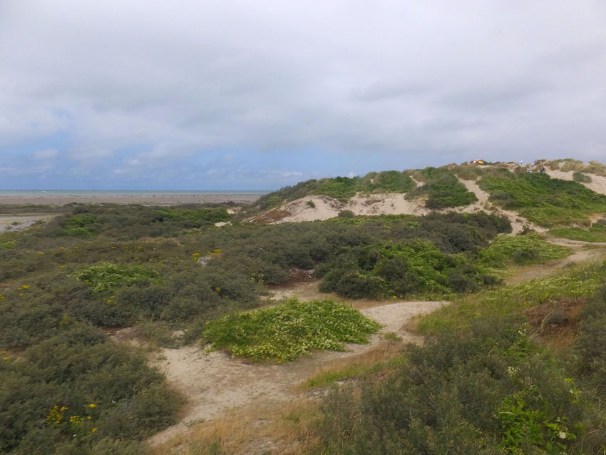 Dunes de la Mollière