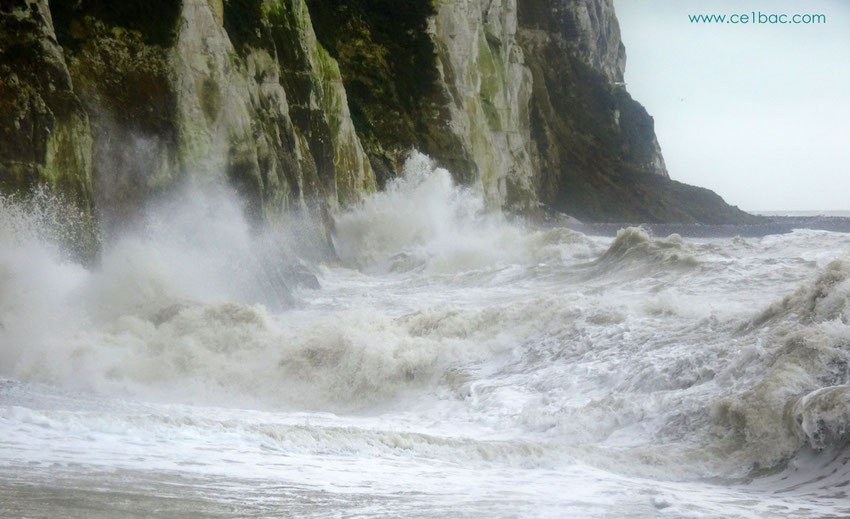Vagues au vent