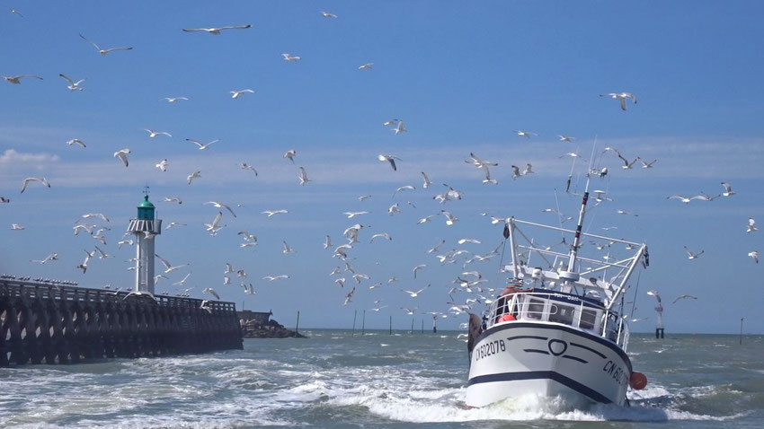 L'entrée du port Deauville Trouville sur mer