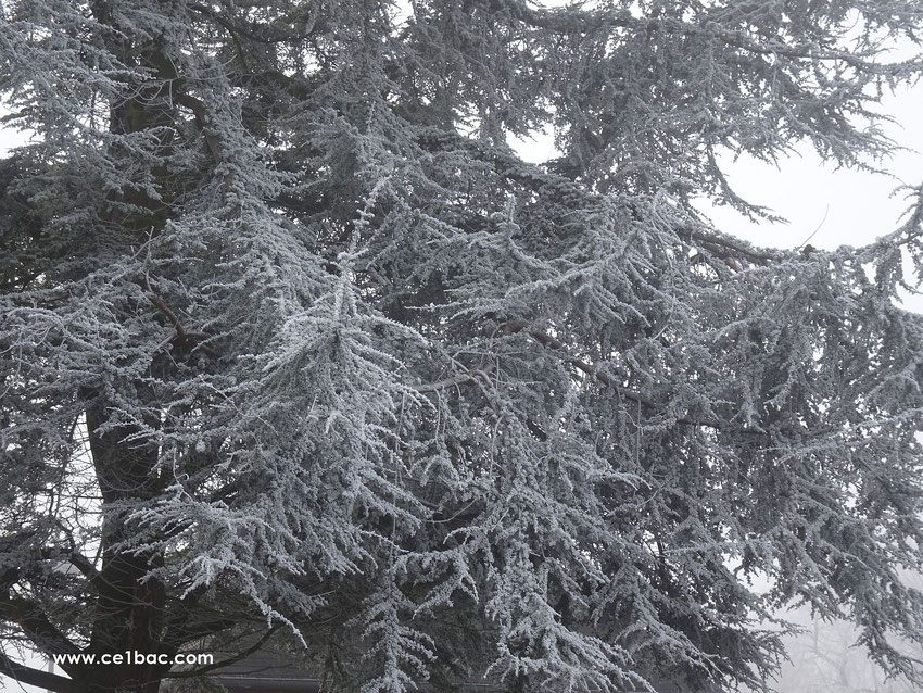 Par une froide journée d'hiver