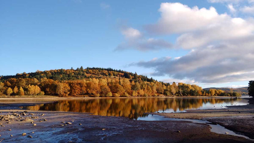 Mit einem Esel am See von Vassiviere wandern