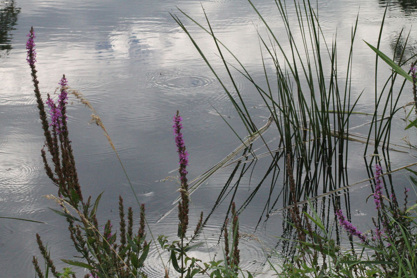 am Ufer