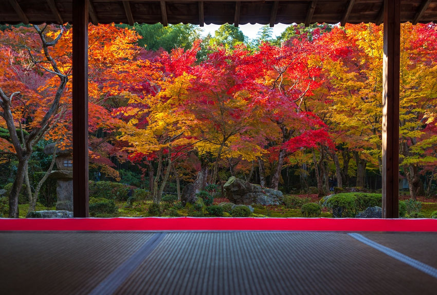 文豪である夏目漱石が参禅したお寺