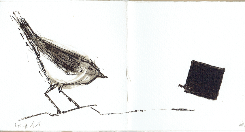 acquaforte/tinta allo zolfo originale dell'autore