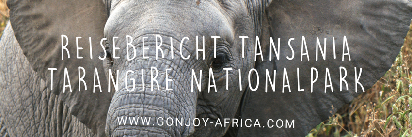 Tarangire Nationalpark Tansania Safari