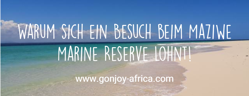 Maziwe Marine Reserve Tansania