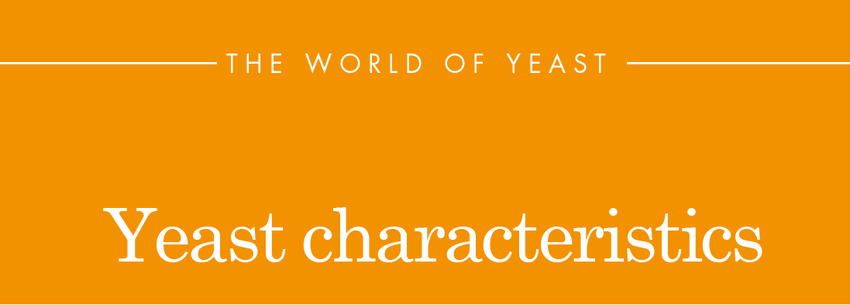 yeast characteristics yeast it