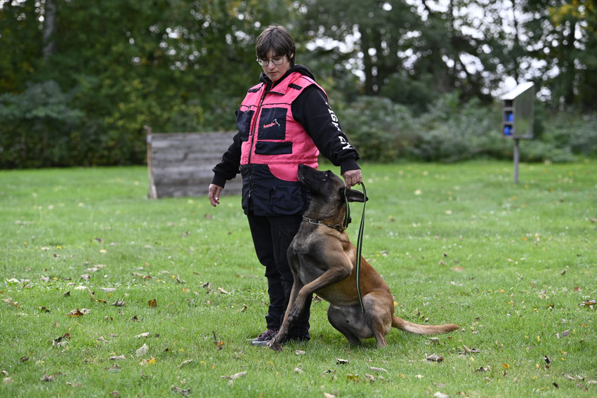 FCI-IGP Quali KG 01 und KG 02 - VdH Neuhofen
