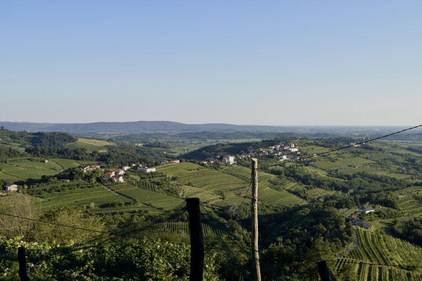 Goriška Brda Slowenien