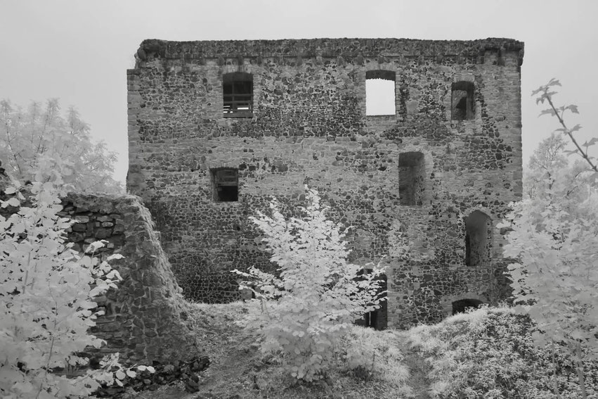 Blick auf die Burgruine Reußenburg auf dem Truppenübungsplatz Hammelburg, teilweise von Bäumen umgeben. Im Vordergrund die sanierungsbedürftigen Mauern der Ruine, die im Rahmen des Projekts als Quartier für Fledermäuse und Vögel berücksichtigt werden.