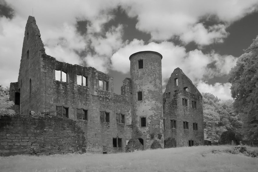 Die Ruine Schönrain in ihrer beeindruckenden Architektur, umrahmt von natürlicher Vegetation unter einem wolkigen Himmel. Unsere Expertise ermöglicht die behutsame Sanierung und Sicherung solcher Strukturen unter Berücksichtigung der Artenvielfalt.