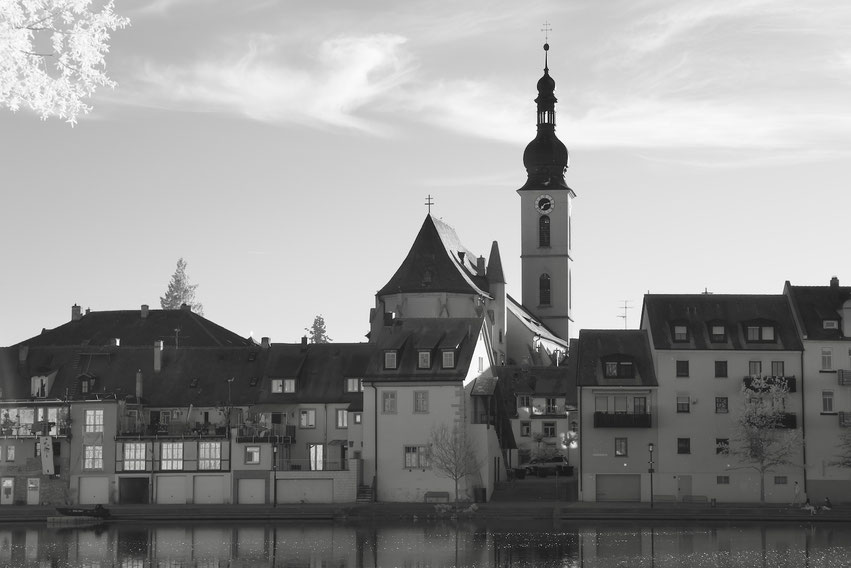 Die markante Silhouette der St.-Johannes-Kirche in Kitzingen. Ihr hoher Kirchturm mit Zwiebelhaube und Uhr ragt über die angrenzenden Häuser entlang des Mainufers hinaus, deren Fassaden sich im ruhigen Wasser spiegeln.