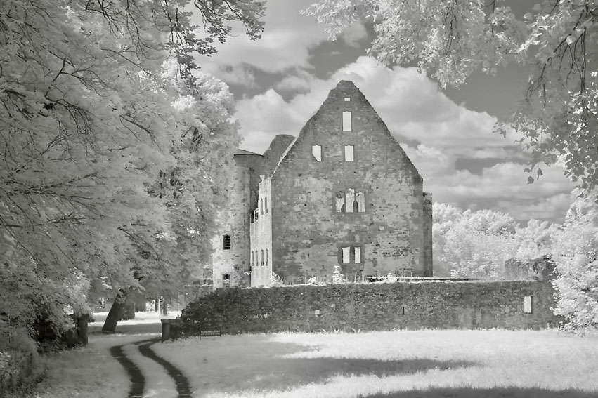 Auf dem Bild sieht man die alte Klosterruine Schönrain aus Naturstein. Das Foto ist in Infrarot aufgenommen – dadurch wirken Laub und Gras fast weiß, der Himmel sehr kontrastreich und die Steine dunkel.