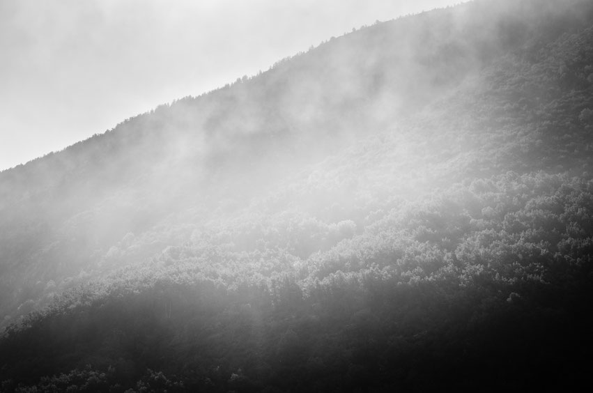 Nebel am Morgen