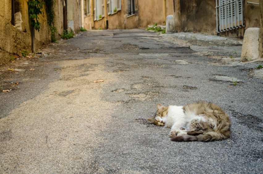 Grasse