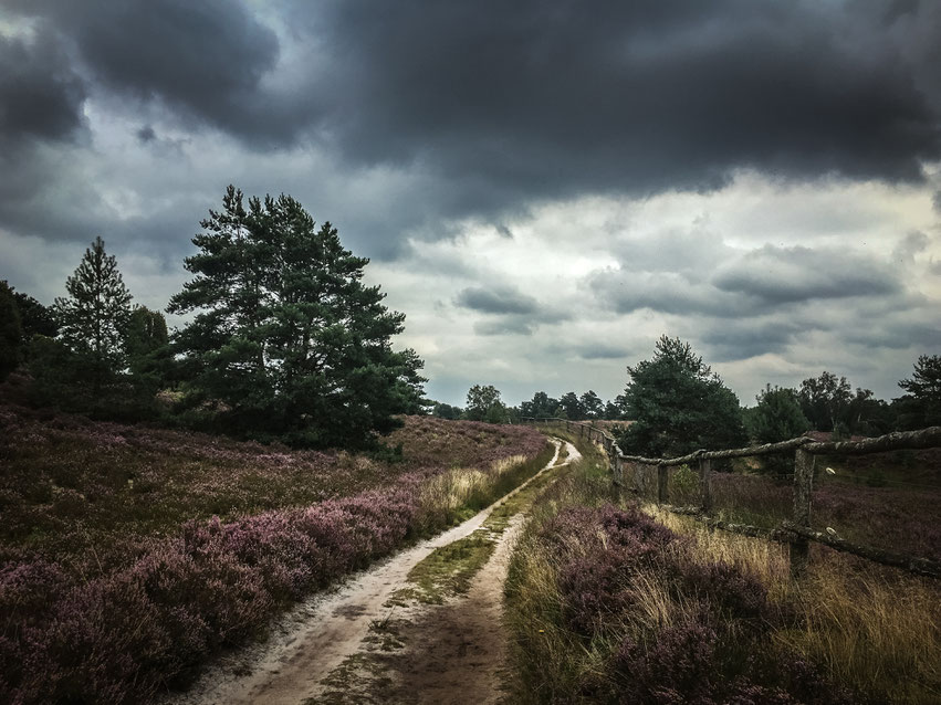 Heidschnuckenweg