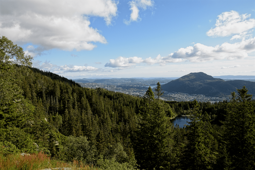 Aussichtspunkt wandern Fløyen