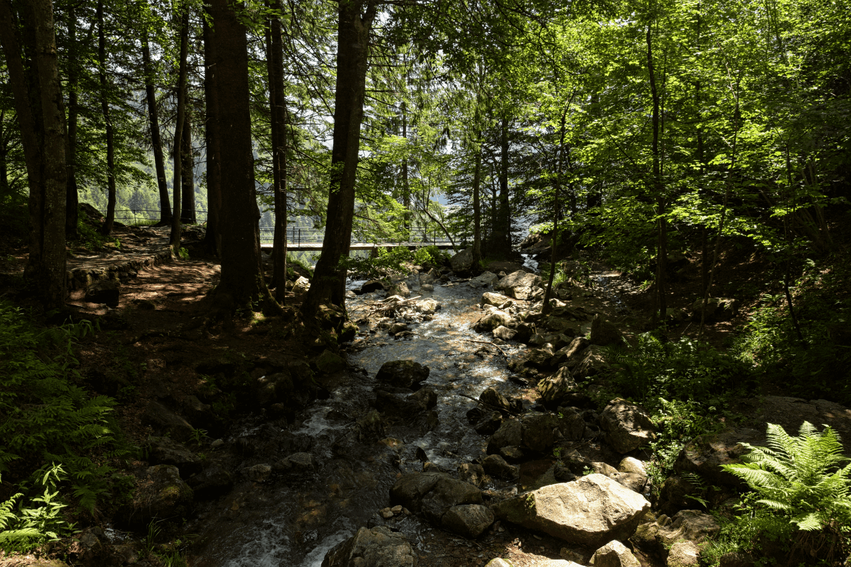 Wasserfallsteig Todtnau