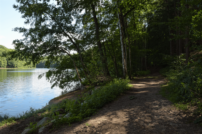 Salemer Moor Wanderung