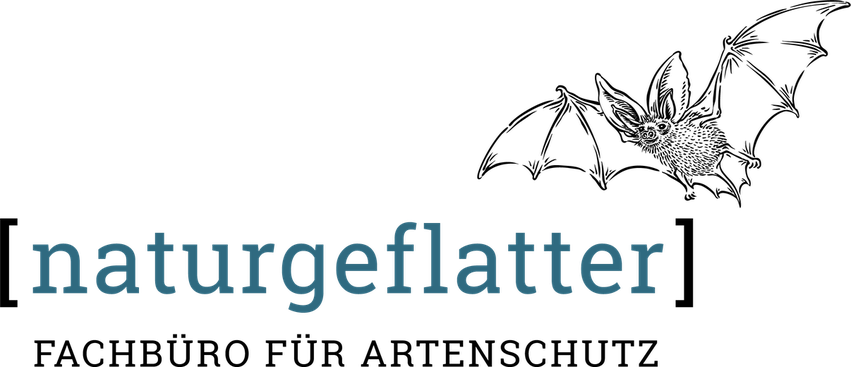 naturgeflatter, Fachbüro für Artenschutz. Das Logo zeigt den Schriftzug "naturgeflatter" in Kleinbuchstaben. Der Text ist in einem dunklen Petrol gehalten und in eckigen schwarzen Klammern. Die Tuschzeichnung einer Fledermaus weist den Artenschutzbezug.
