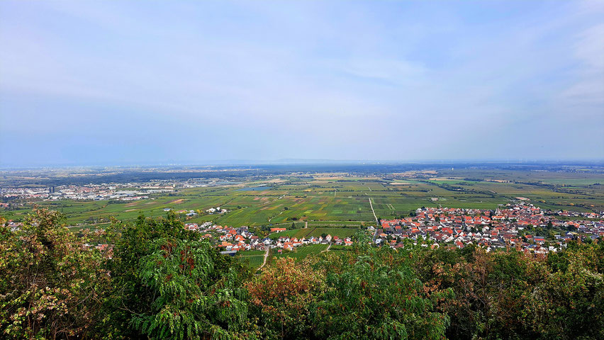 Ausblick auf die Ebene der Weinfelder mit den vielen kleinen Weinortschaften in Rheinhessen