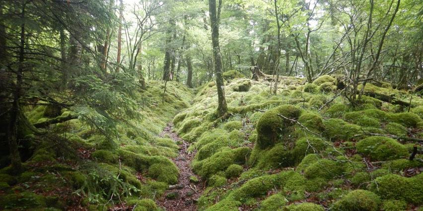 村山古道