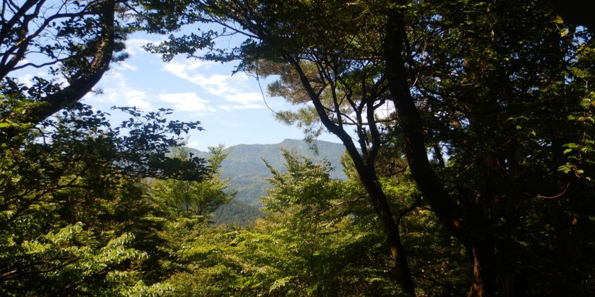 馬の背と万三郎岳