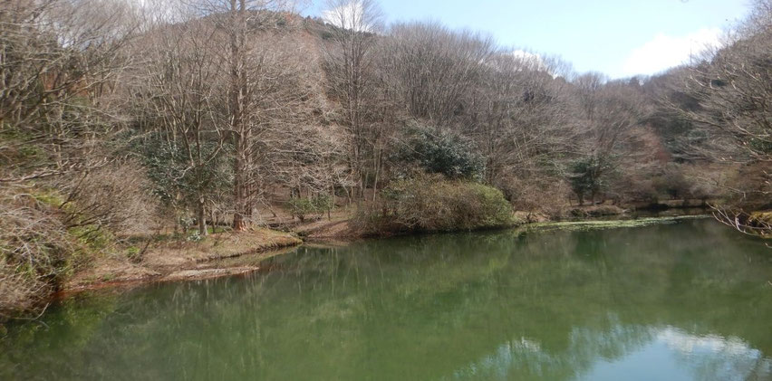紫水池