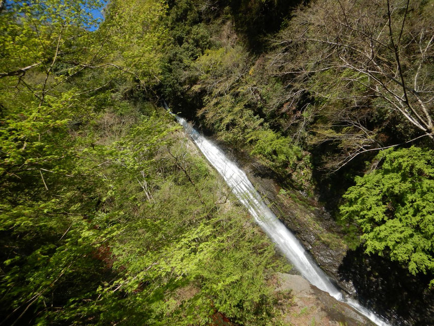 洒水の滝