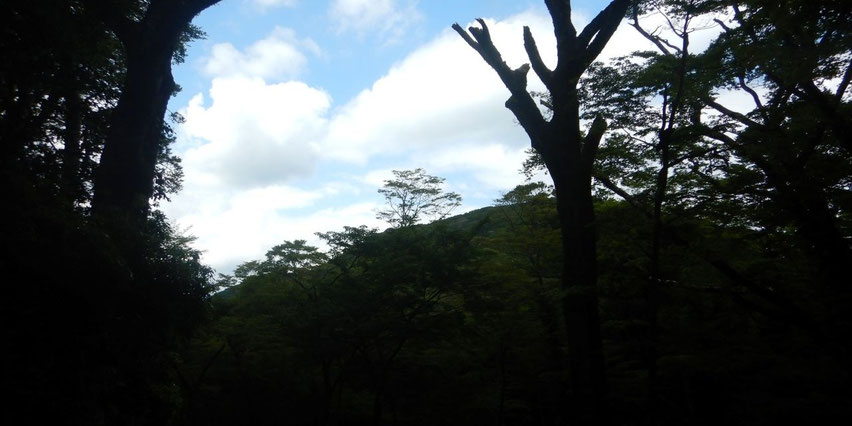 三蓋山
