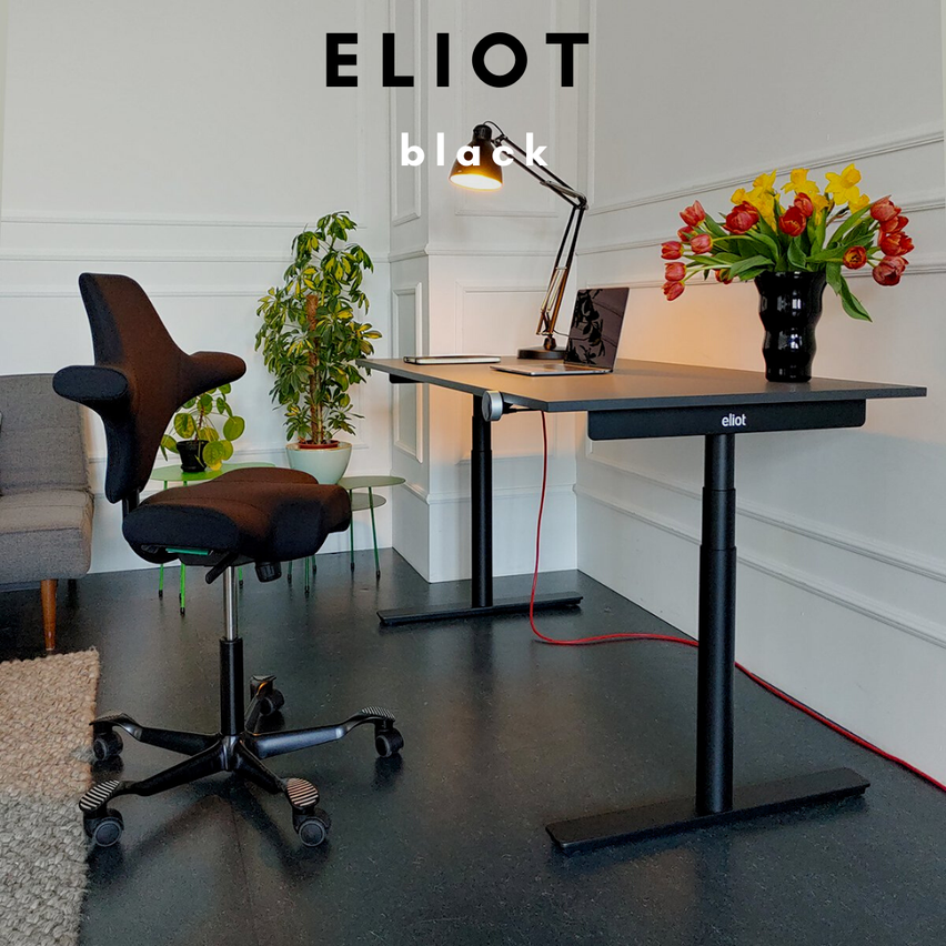 Eliot Schreibtisch Test