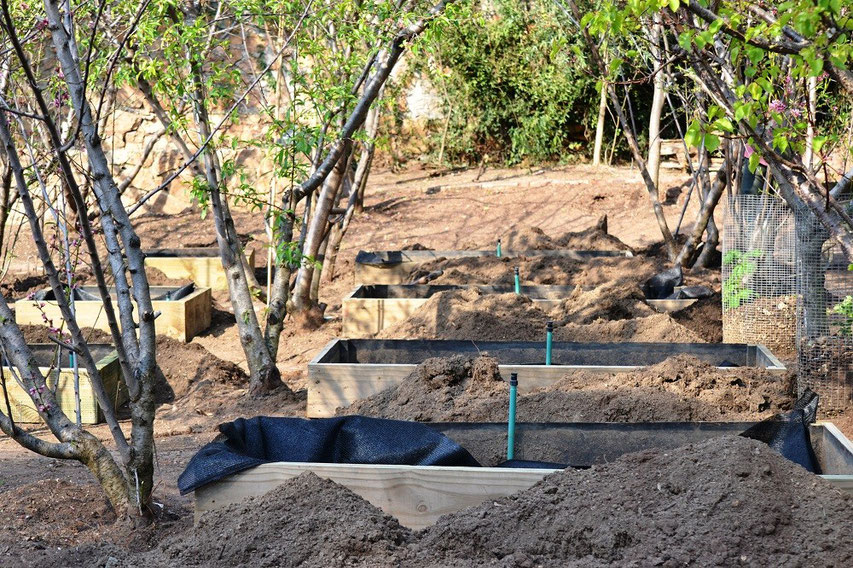 Every planter got new soil and porous lining
