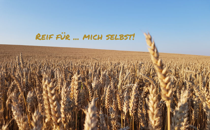 Ein reifes Kornfeld lädt dazu ein, sich Zeit für sich zu nehmen.