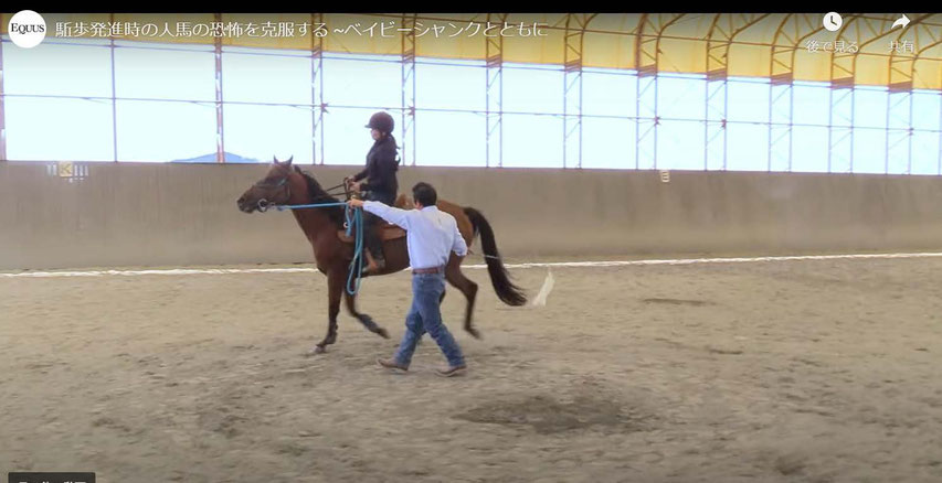 ベイビーシャンクとの駈歩発進