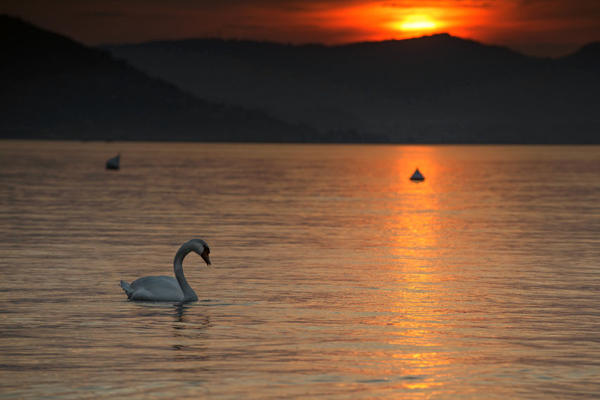 Lago Iseo