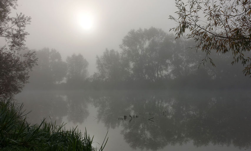 Alle Fotos wurden mit einer Kompaktkamera geknipst: Der Fluss Meuse bei Verdun