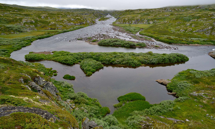 Hardangervidda Nationalpark