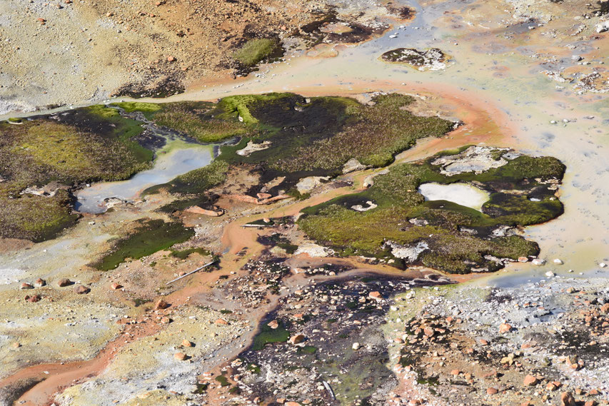 geothermal near Landmannalaugar on Laugavegur hing trail