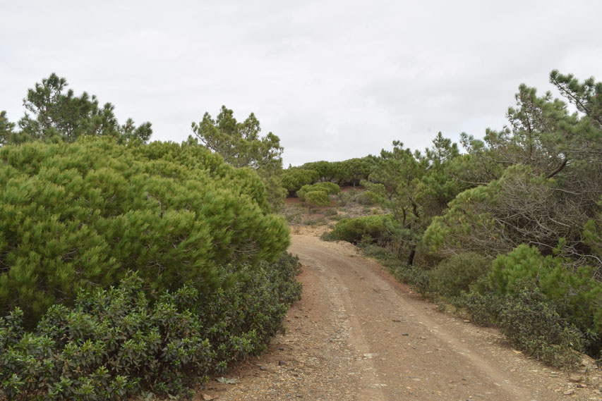 Cordoama coast path, Vila do Bispo, Portugal - hiking