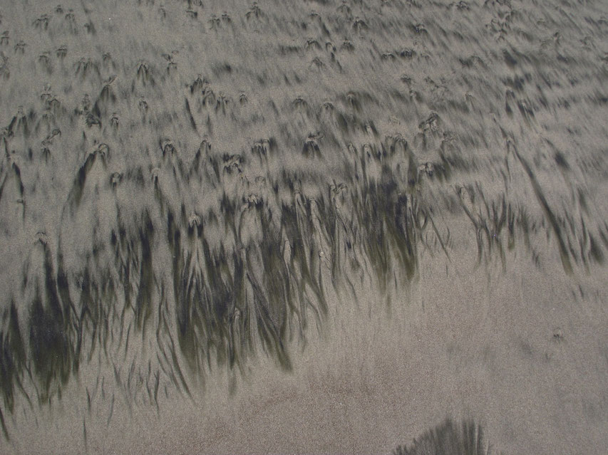 sand patterns Los Frailes