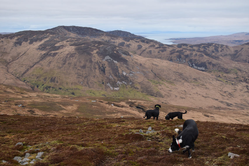 Beinn Bheigier, hiking on Islay, Scotland