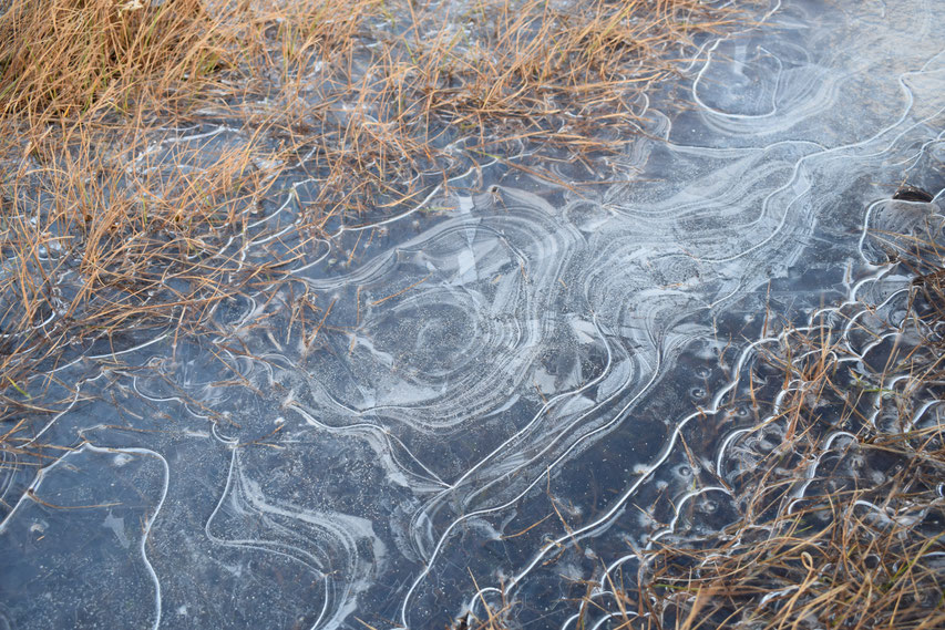 frozen puddle