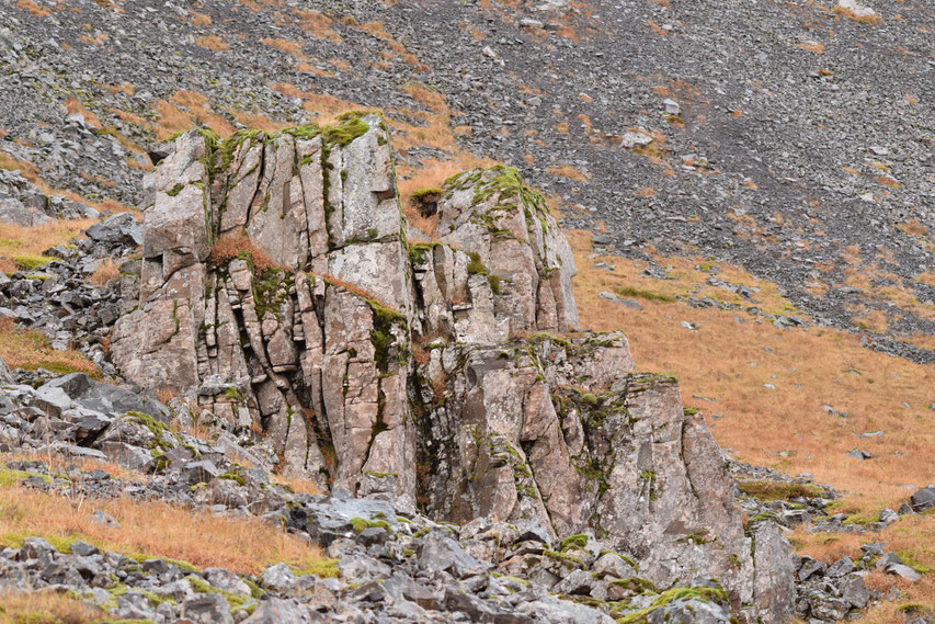 rock and moss, Iceland