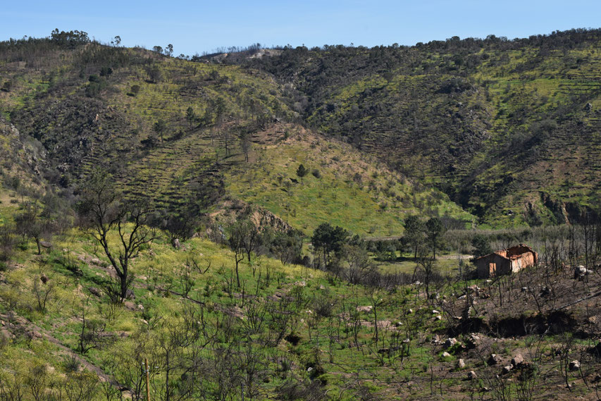 abandoned building and farmland, between Gavião and Belver, Portugal