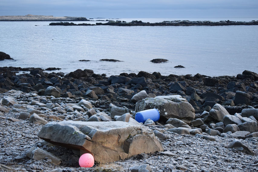 Plastic pollution, beach clean, East Fjords, Iceland