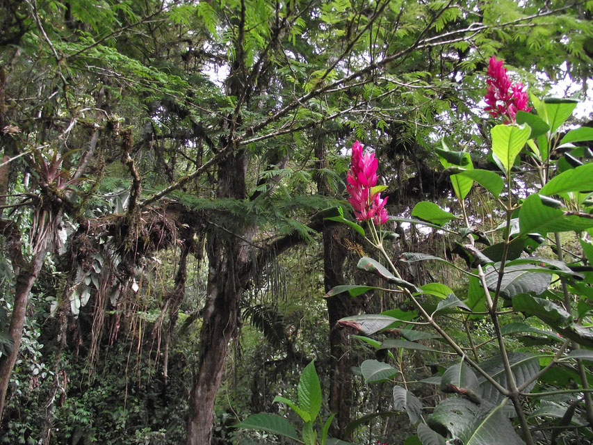 Mindo, Ecuador