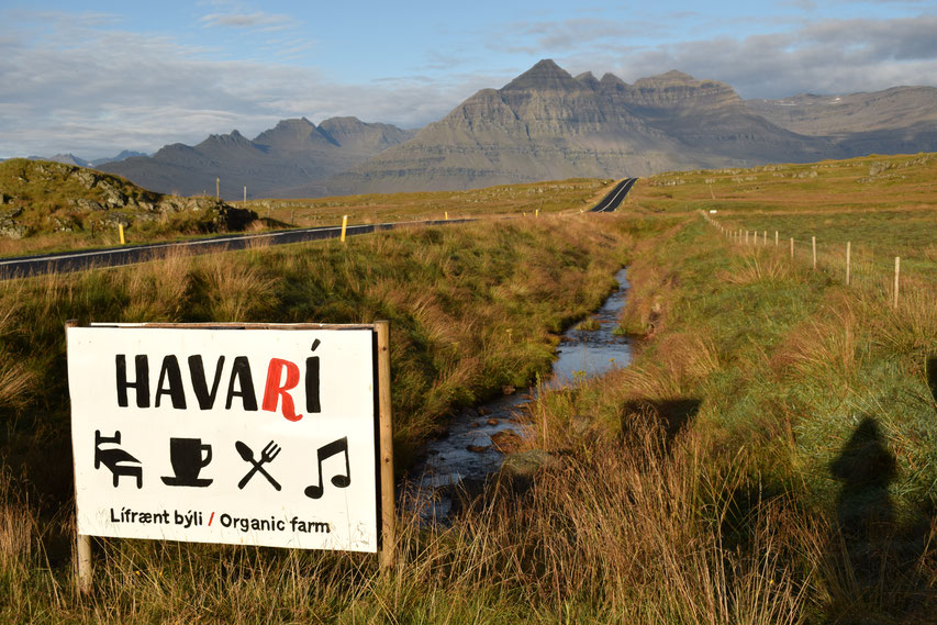 Havari Organic Farm and cafe, East Fjords