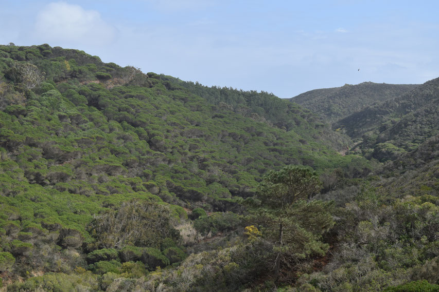 coast path, Vila do Bispo, Cordoama, Portugal - landscape, hiking