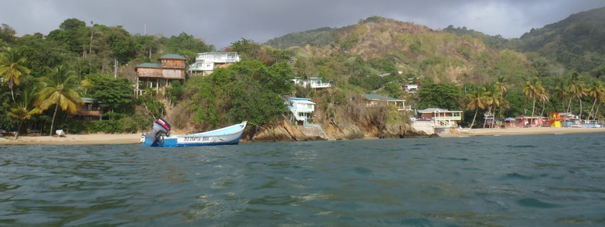Workaway, Castara, Tobago