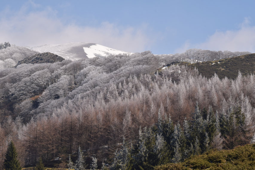 Snow on the Pyrenees, France